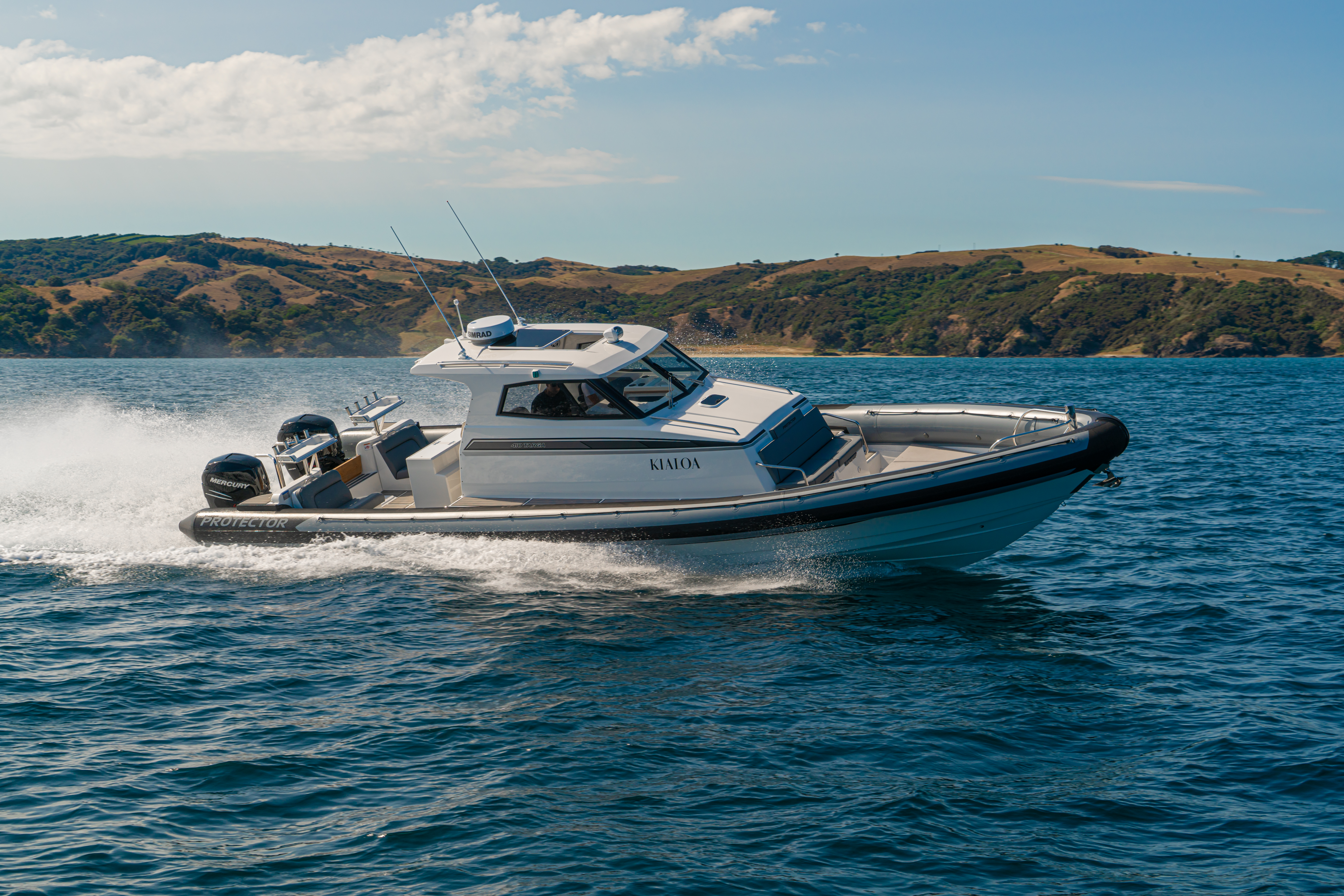 Global and domestic market for Protector booms after AC