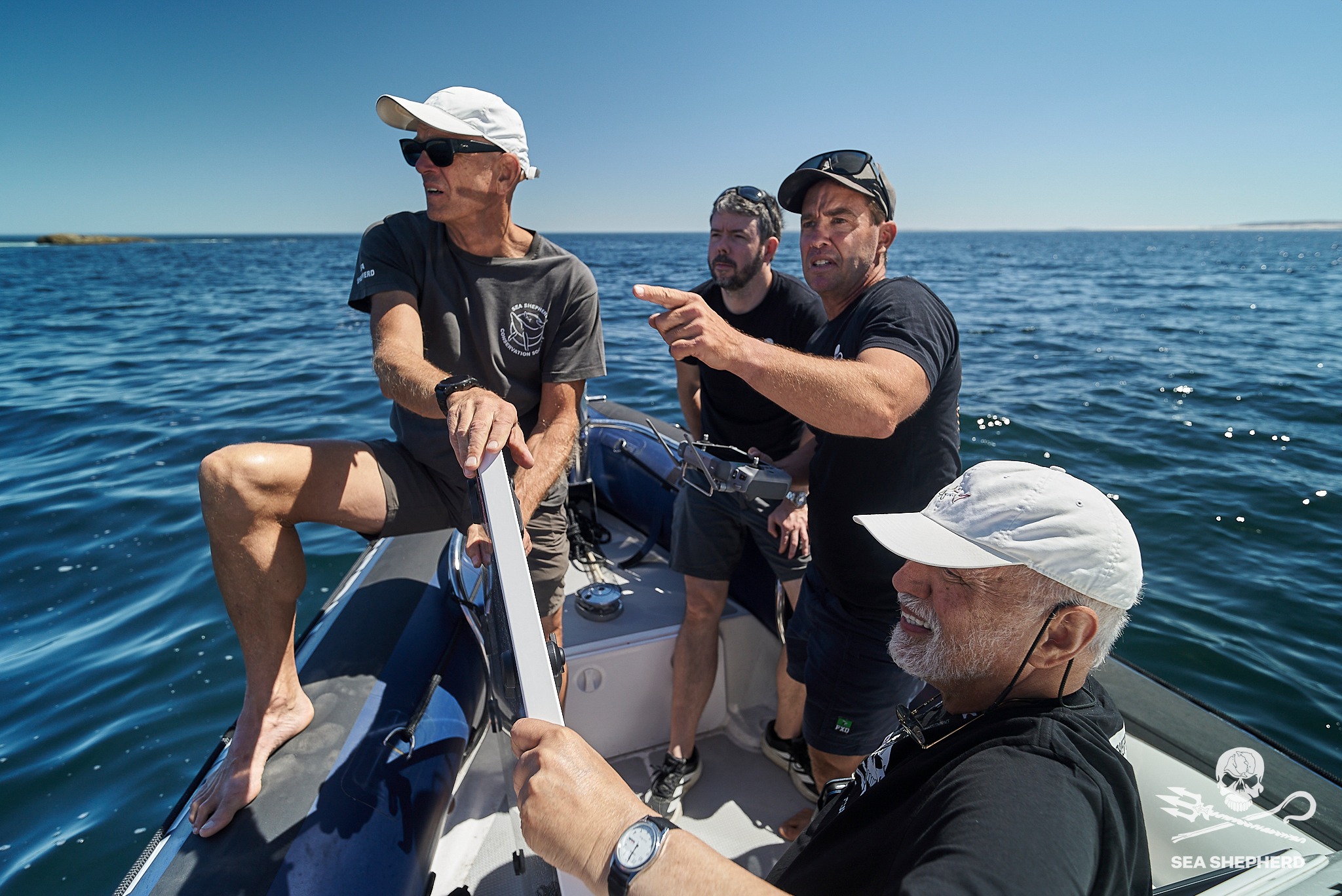 How Sea Shepherd are using a Protector to save endangered sea lions 