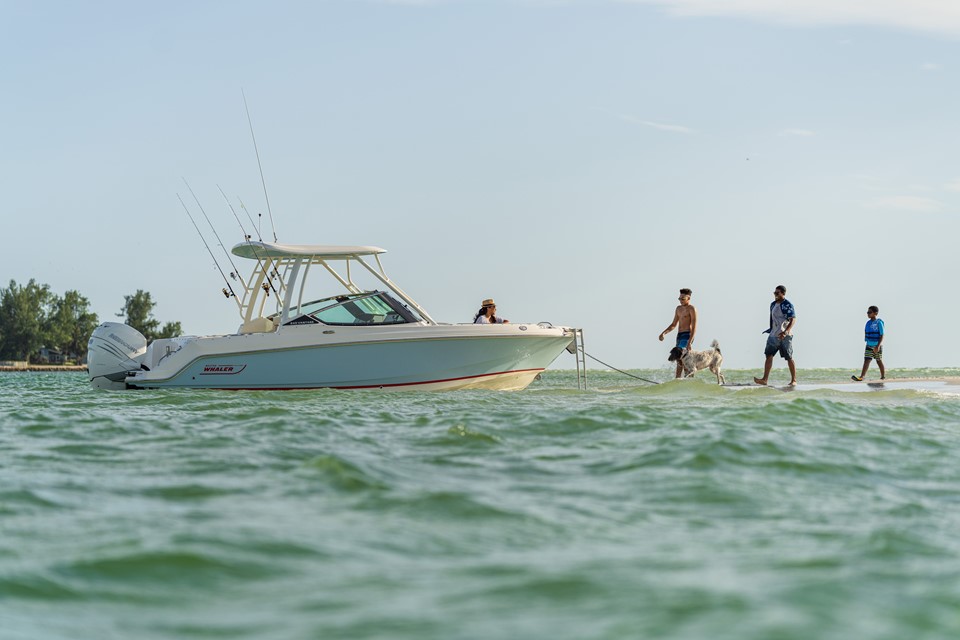 Rayglass is now the official dealer of Boston Whaler boats in NZ