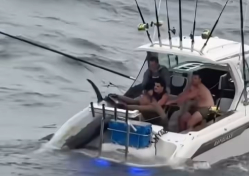 A screenshot from a video of Jason the team hawling in their winning catch