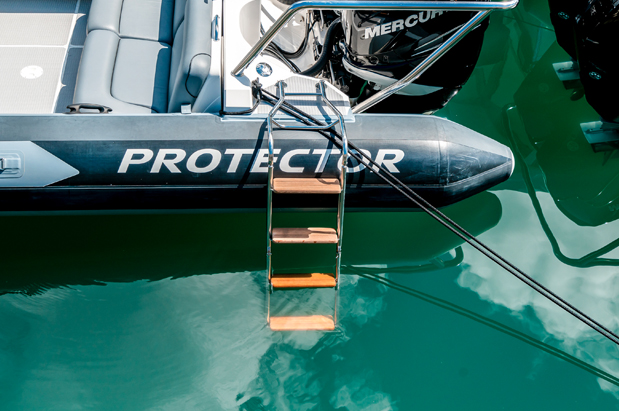 REMOVEABLE BOARDING LADDER